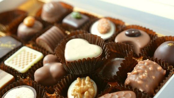 Best Chocolates for Babies - Which One Will You Buy