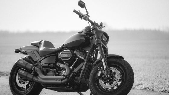 Best Harley Davidson Motorcycle That You Can Get On a Lease