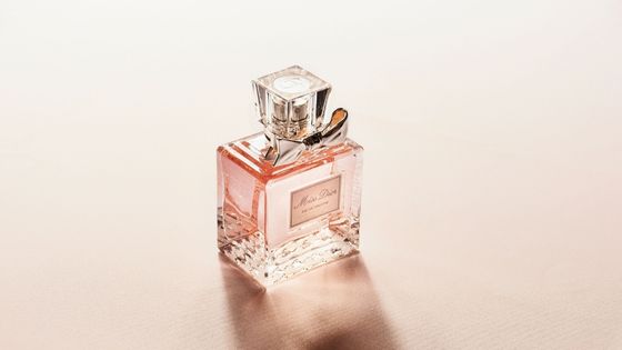 Dior Sauvage Dossier For Both Men and Women