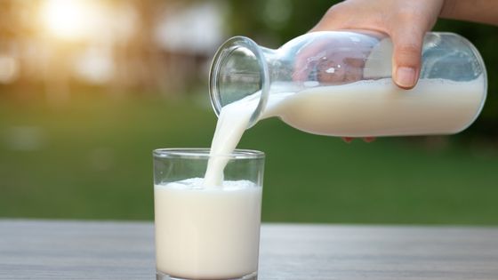Health Benefits of Milk: How Milk Can Help You In Your Daily Diet