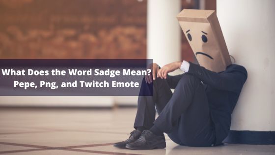 What Does the Word Sadge Mean - Pepe, Png, and Twitch Emote