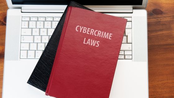 Cybercrime Laws in India