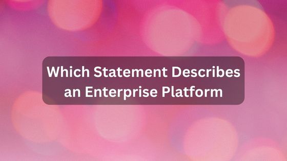 Which Statement Describes an Enterprise Platform