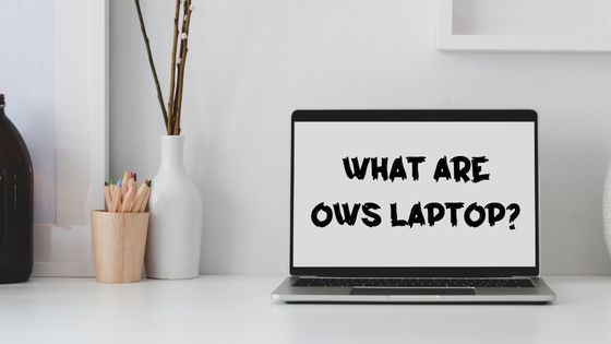 OWS Laptop, Features, Models, Benefits, All You Need to Know